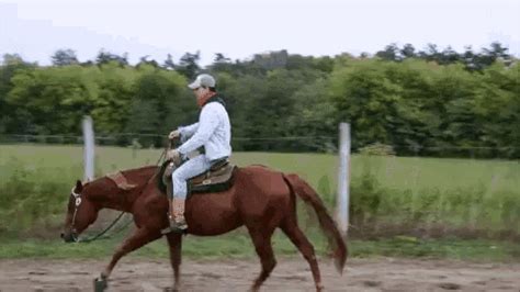 horse ride gif|59 ☆ Horse Riding GIF's ☆ ideas .